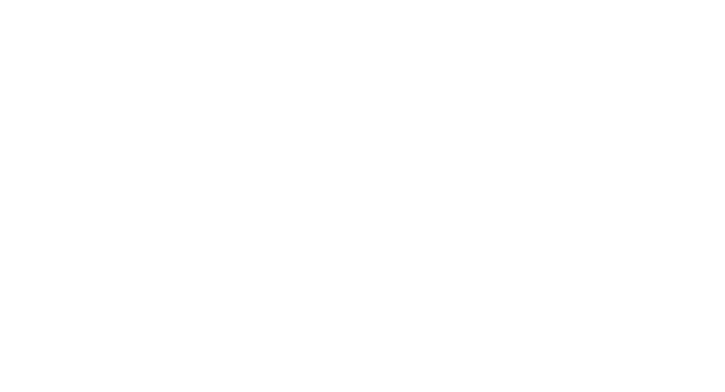 assfinet